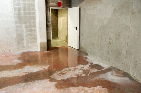 Cost of Wet Basement Repair in Wausau
